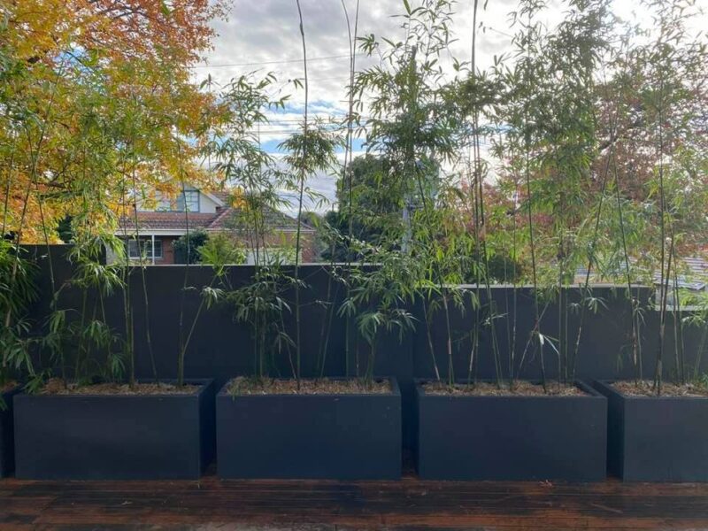 Lightweight Planter Boxes Bamboo Plus