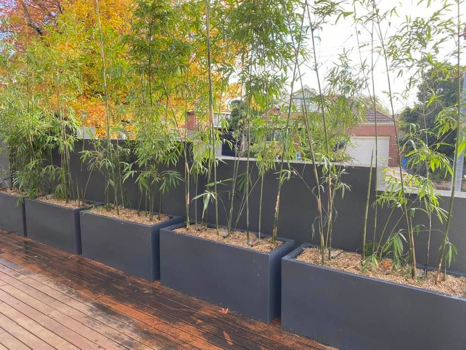 Lightweight Planter Boxes Bamboo Plus