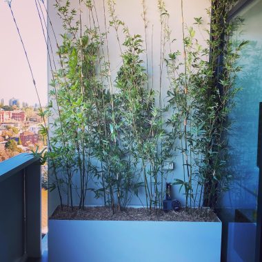 Powder Coated Steel Planter Boxes - Custom - Image 5